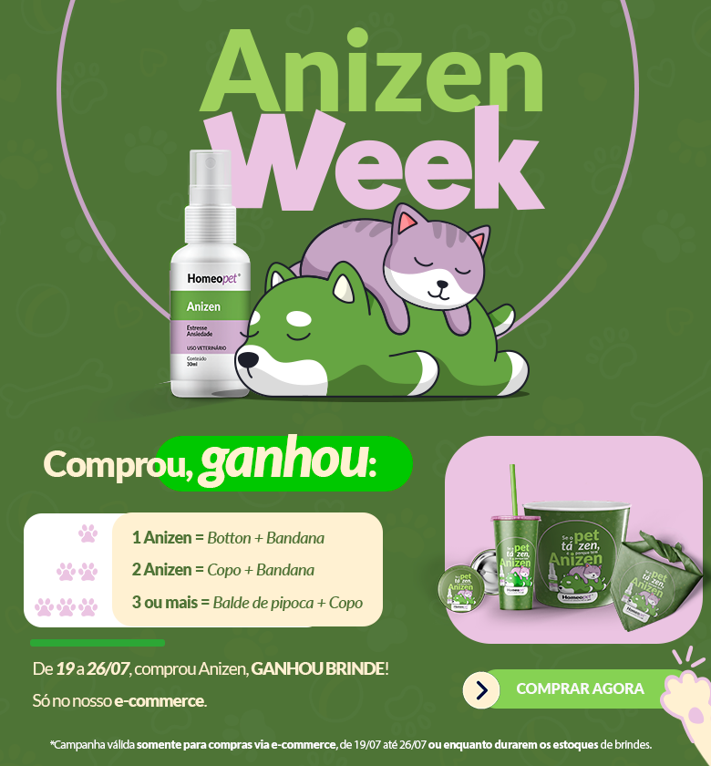 Anizen Wekk 2025