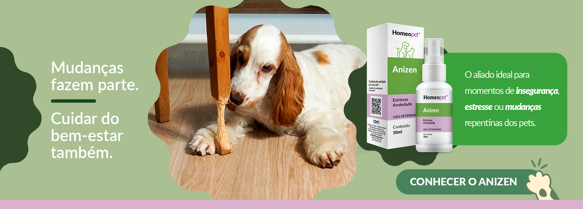 Anizen - Insegurança