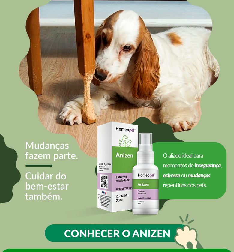 Anizen - Insegurança