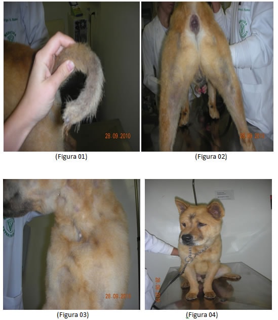 Caso Pró-Derma 1