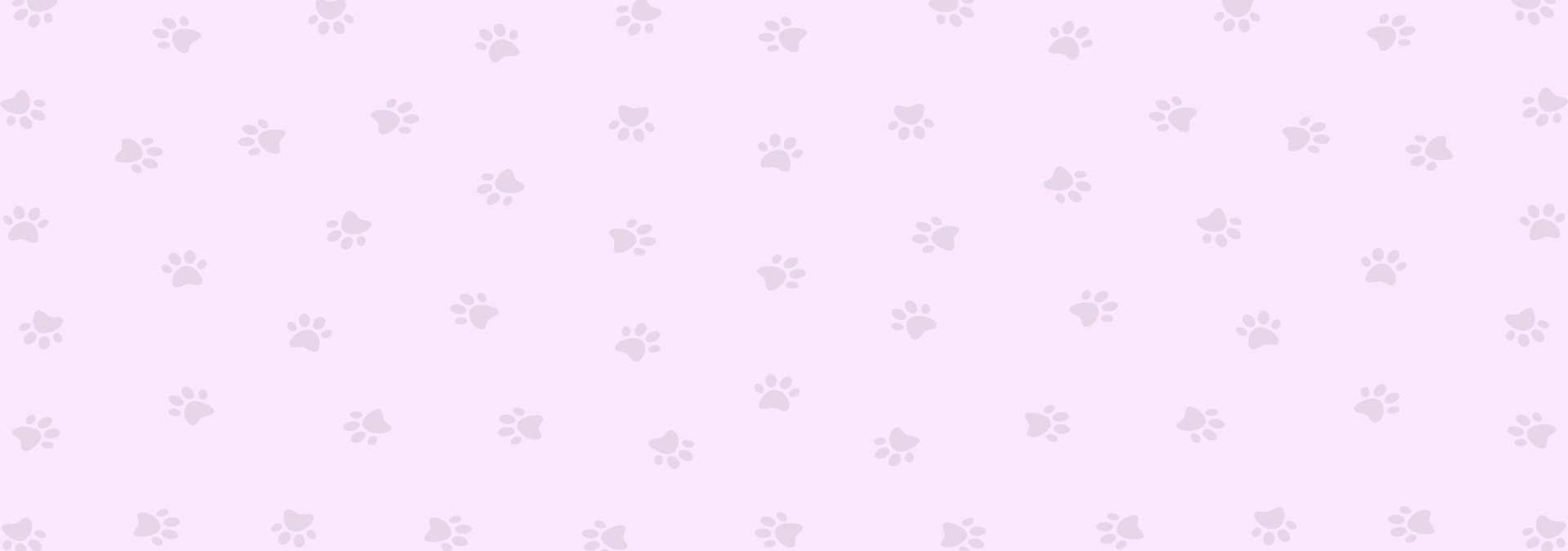 background for youtube video homeopet object-cover